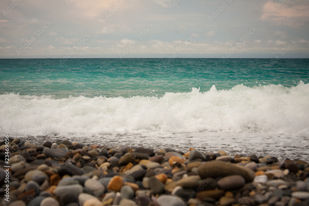 wave wave