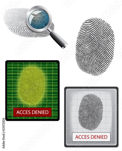 Vector fingerprint, magnifying and biometrics