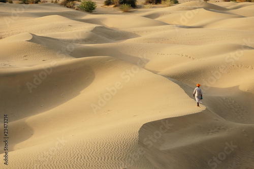 Thar desert near Jaisamler. Rajasthan, India. photo