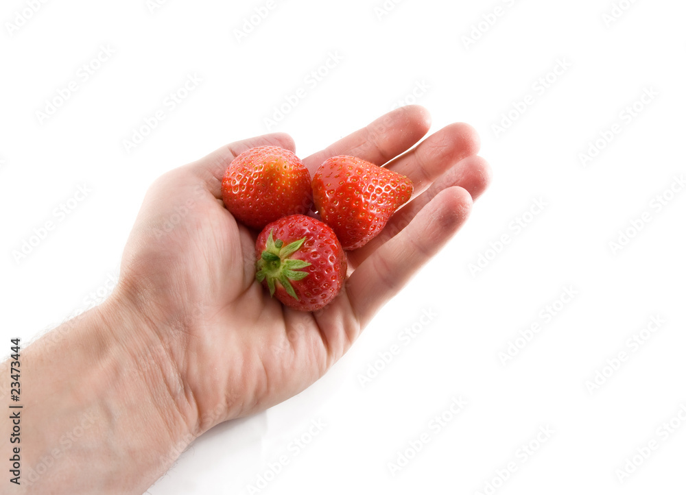 Obraz premium strawberry