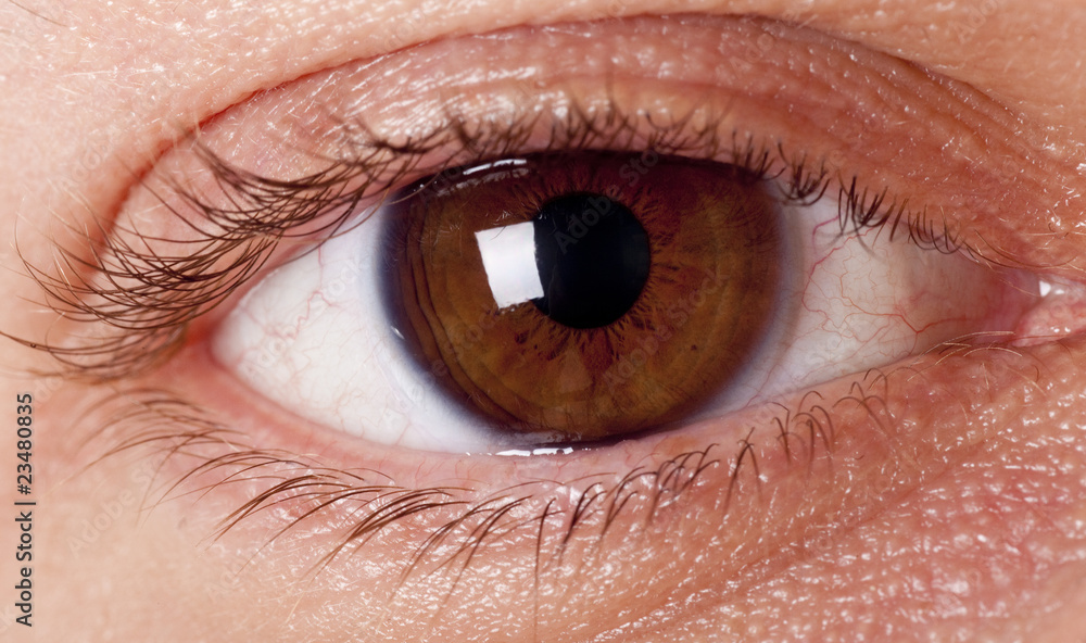 Fototapeta premium eye