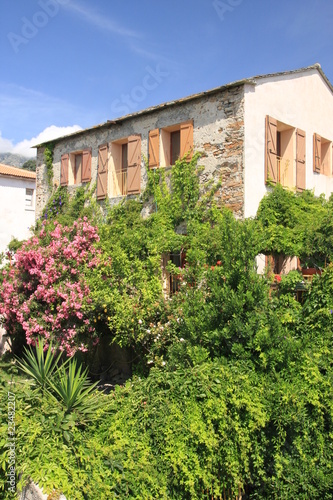 maison en fleurs