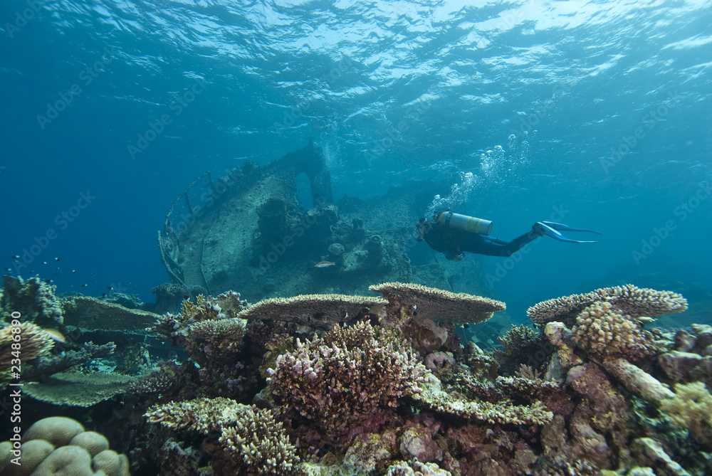 Fototapeta premium Diver exploring underwater shipwreck.