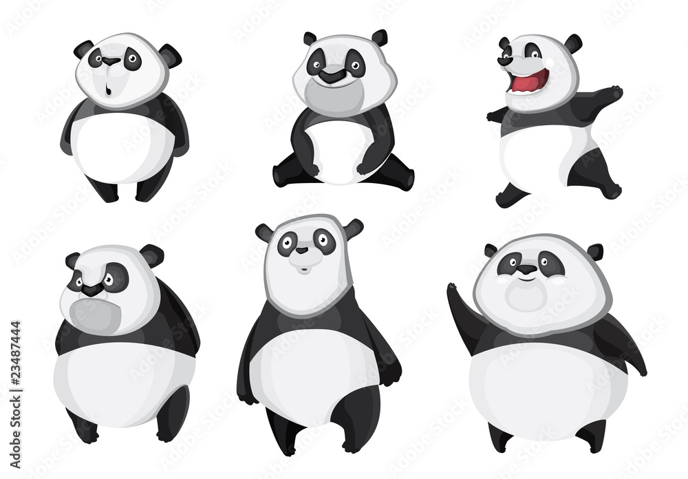 Obraz premium Pandas isolation