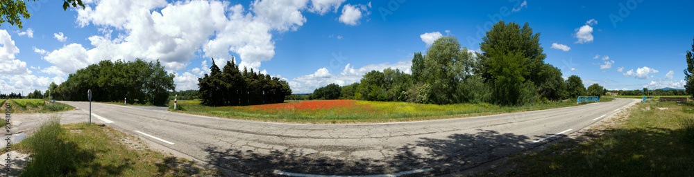 route départementale et champ de coquelicot dans la campagne route départementale et champ de coquelicot dans la campagne