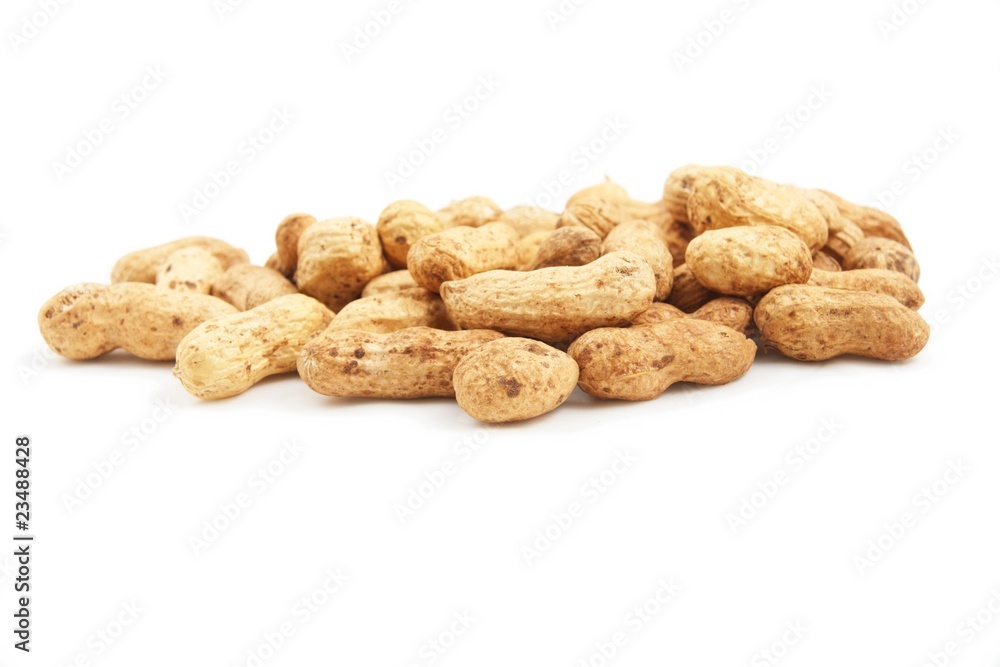 nuts nuts