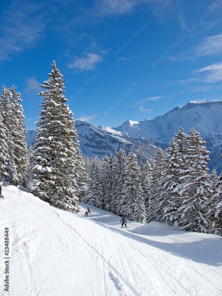 Skiing slope