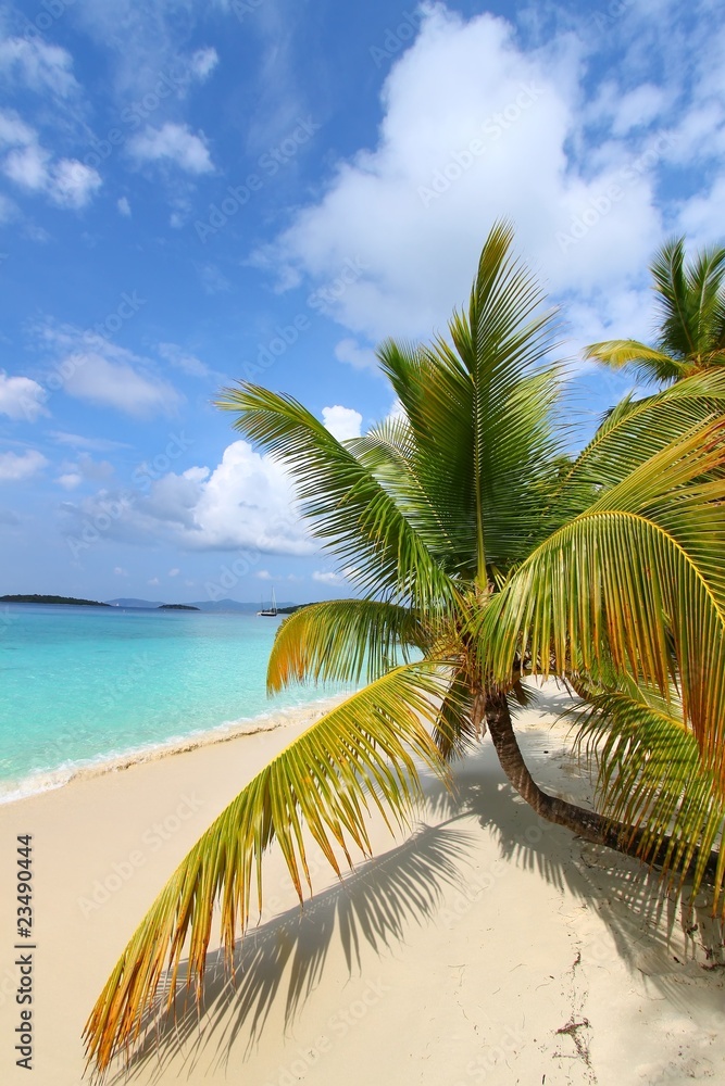 Obraz premium Beach Tranquility
