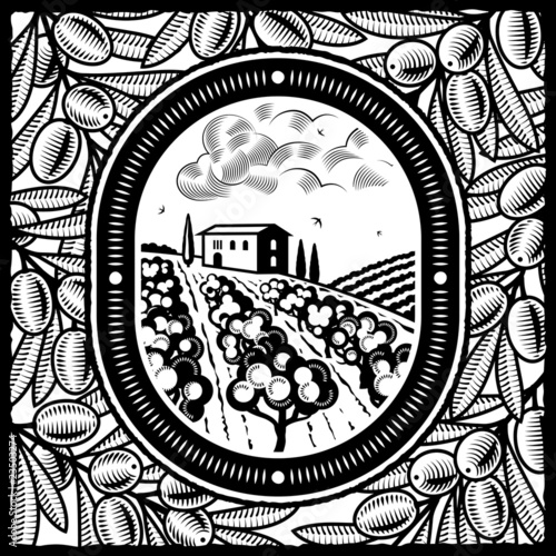 Olive grove black and white