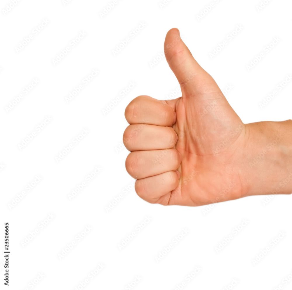 The thumb lifted upwards on a white background The thumb lifted upwards on a white background