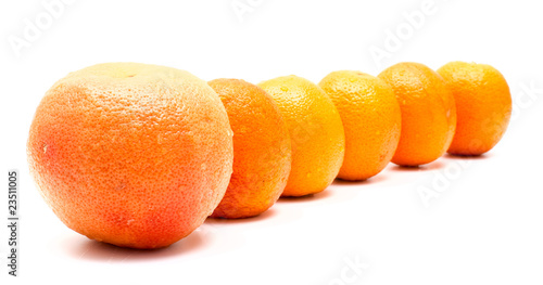 Row of oranges