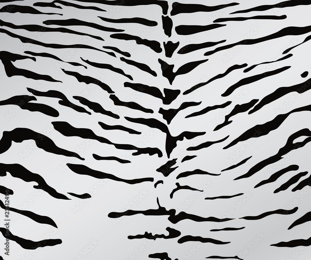 Фон белый тигр шкура