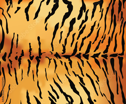 Tiger skin texture.