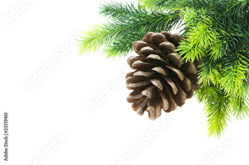 Cone and christmas tree isolated on white