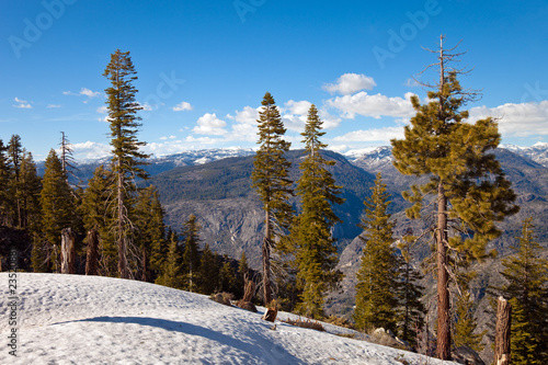 Mountains in Yosemite