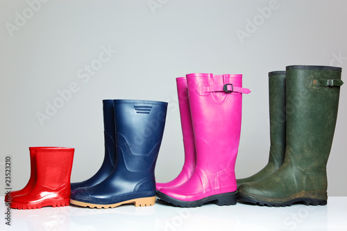 Group of wellie boots photo