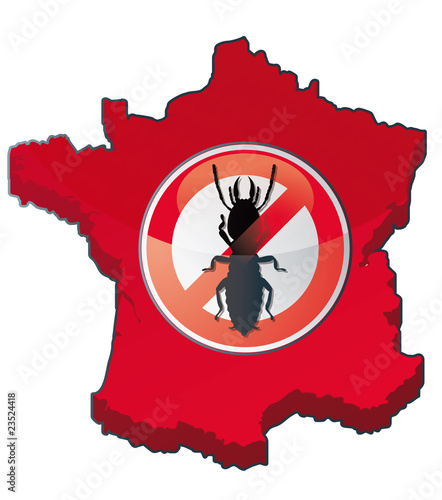erradication des termites en France