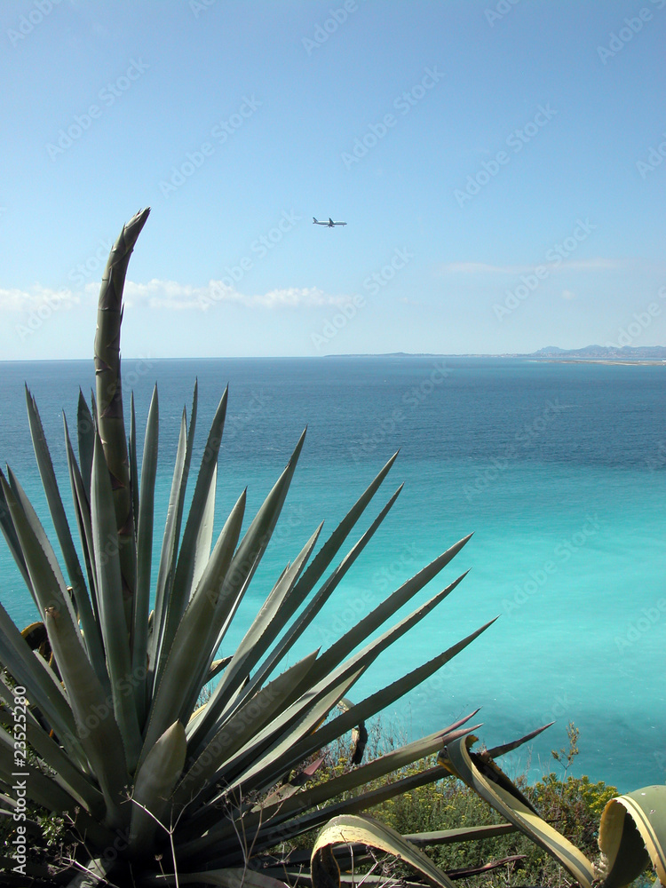 The coast at Nice