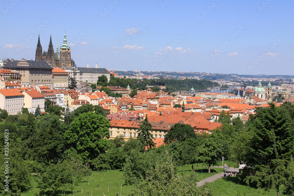 Prague's gothic Castle with flowering trees and green grass