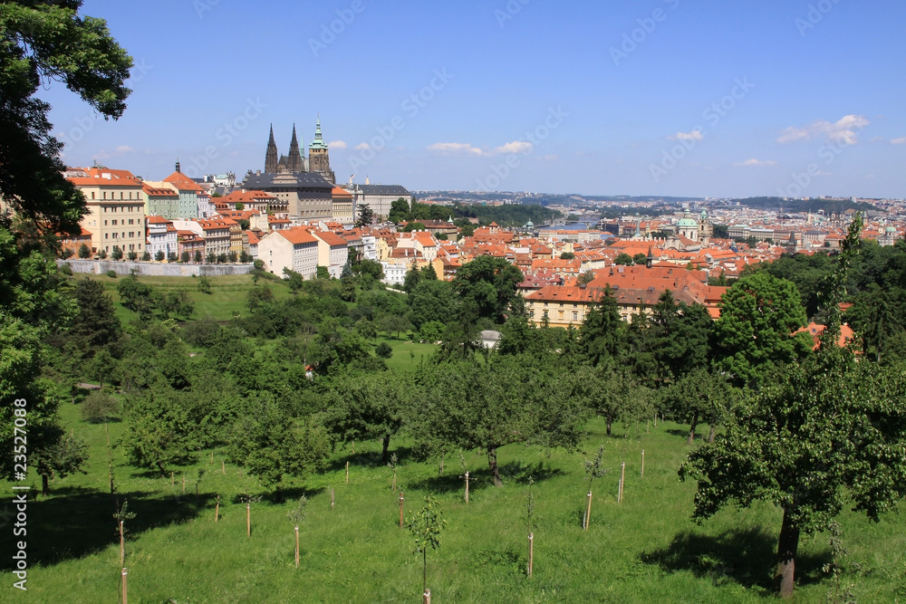 Prague's gothic Castle with flowering trees and green grass