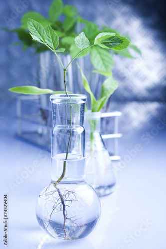 Eco laboratory photo