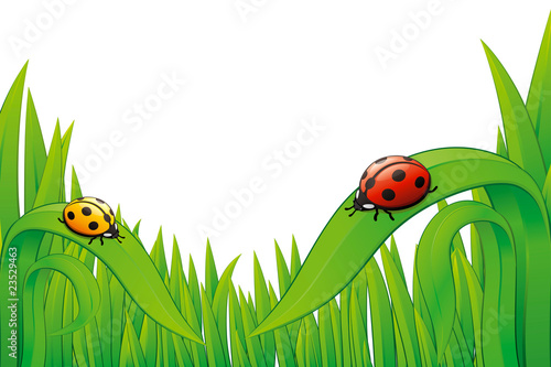 Vector Ladybugs on grass.