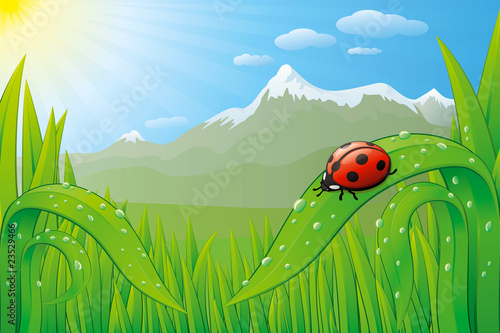Vector grassfield landscape with ladybug