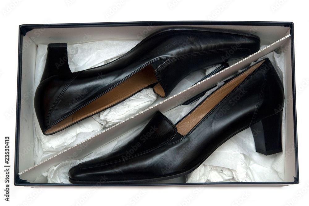 black female leather shoes in the box isolated black female leather shoes in the box isolated