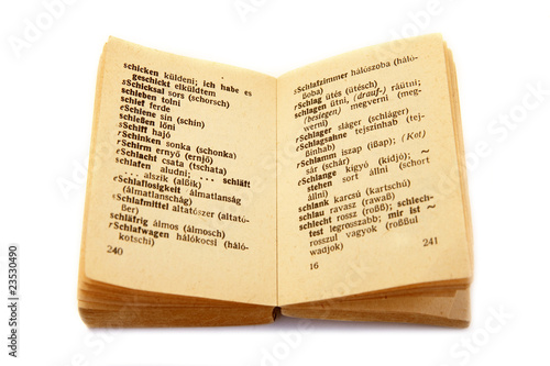 old pocket dictionary