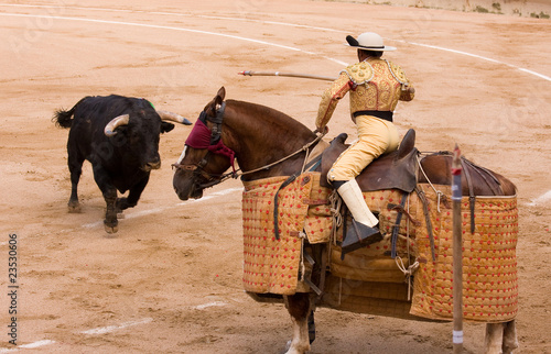 Photos Picador