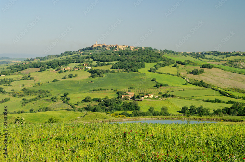 Fototapeta premium Pienza 01