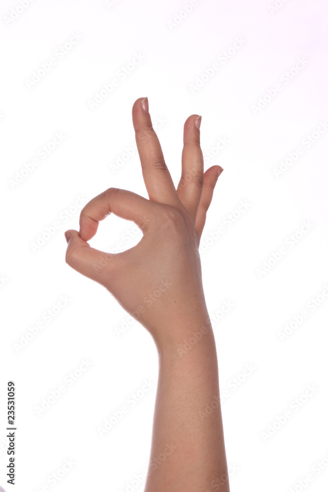 手的姿势 手的姿势
