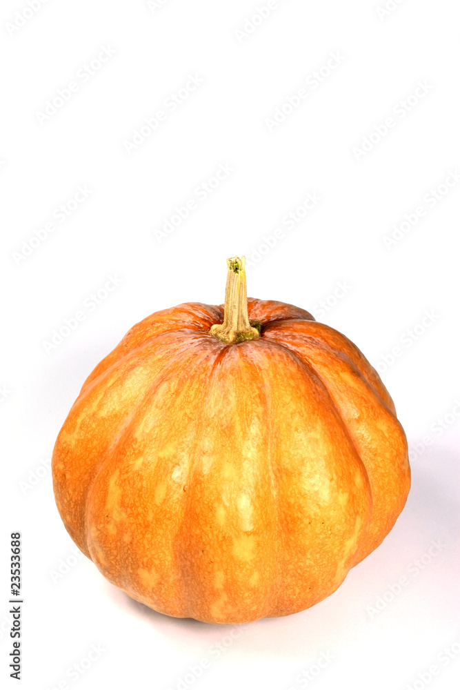 Fototapeta premium pumpkin
