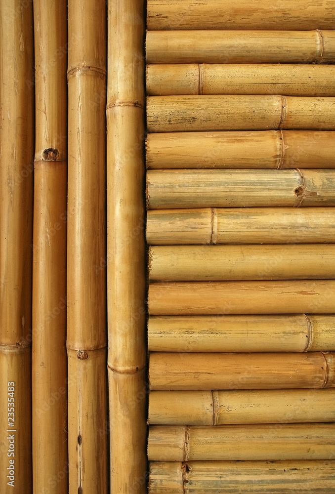 Fototapeta premium bamboo background