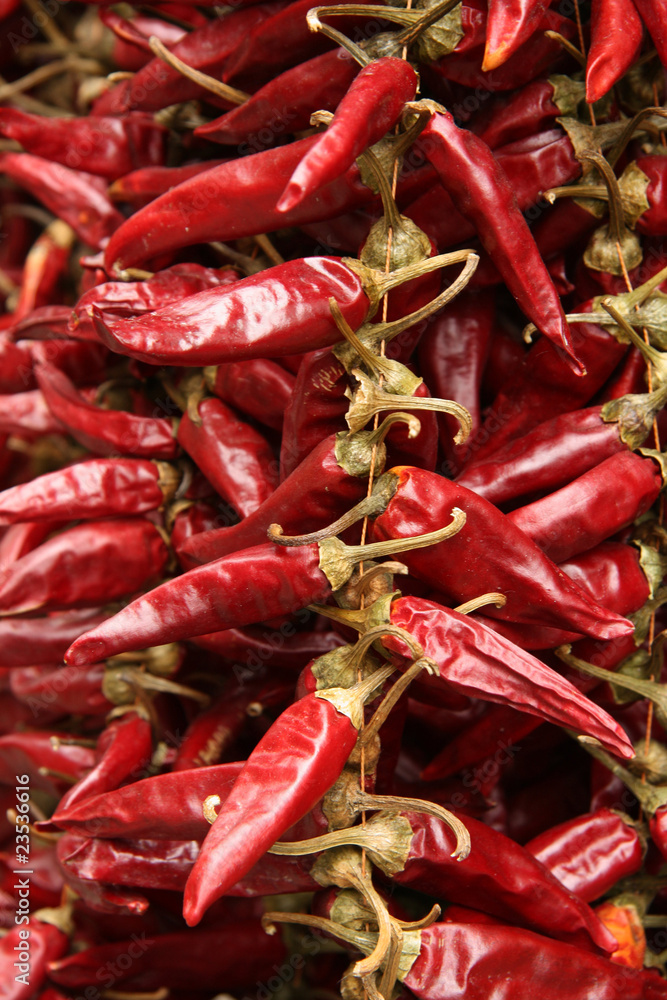 Red paprika - traditional hungarian spice