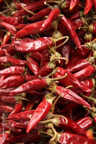 Obraz na płótnie Red paprika - traditional hungarian spice w salonie