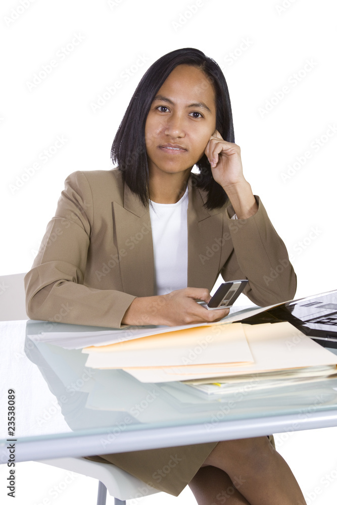 Businesswoman at Her Desk Working Businesswoman at Her Desk Working