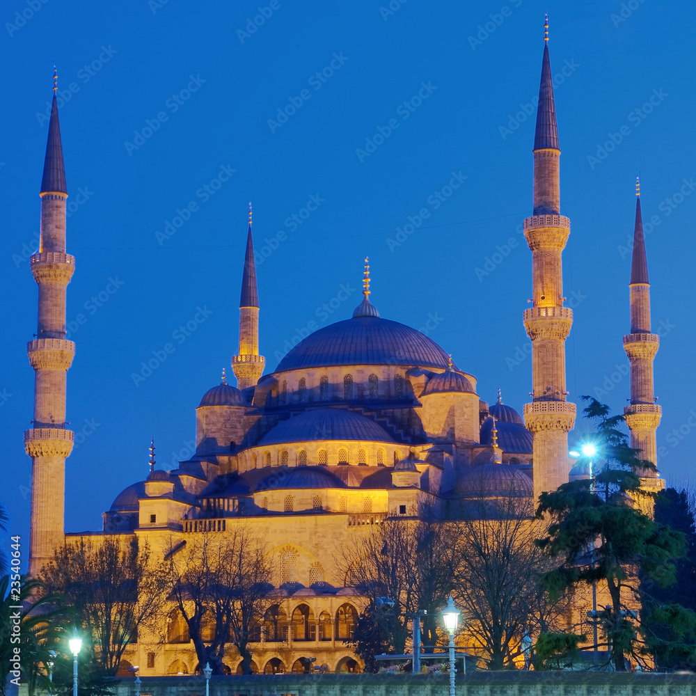 Blue Mosque at night