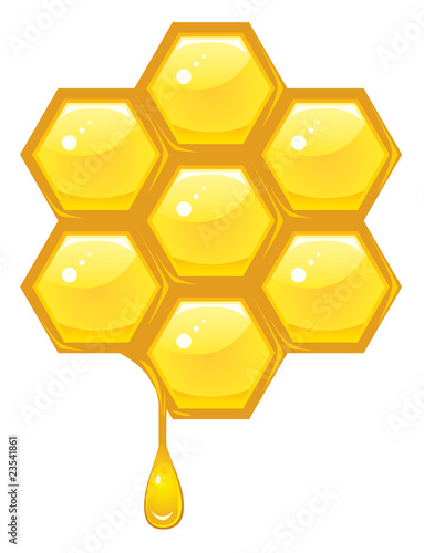 Honeycomb vector