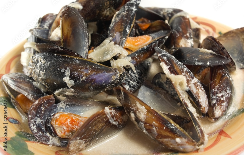 Mussels in cream sauce