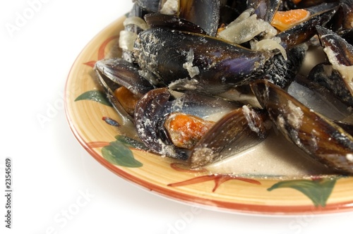 Mussels in cream sauce
