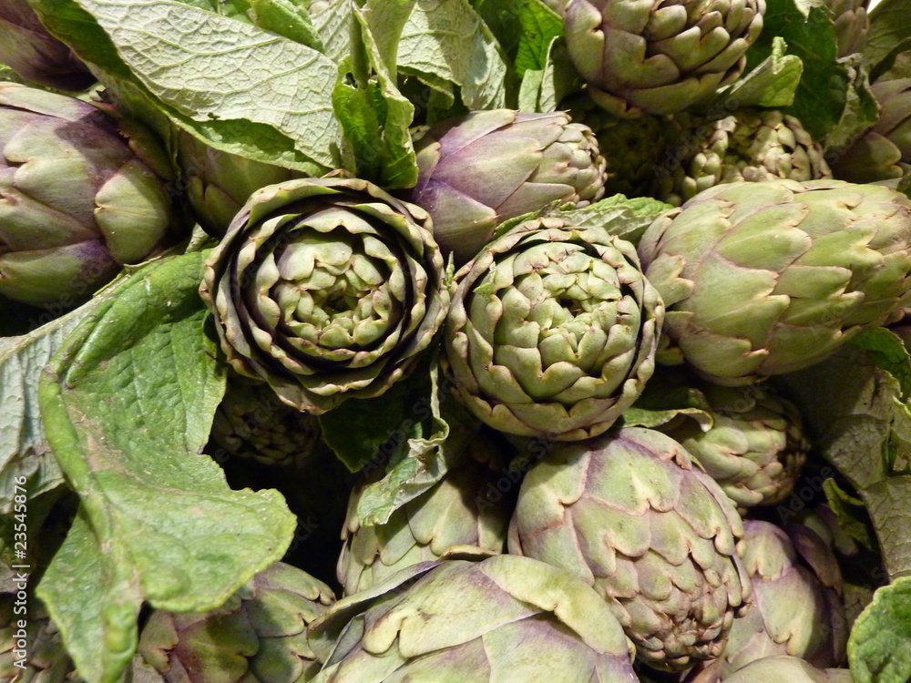 Obraz premium artichauts