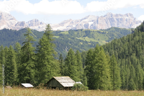 Prairie in Corvara with Dolomites in the distance