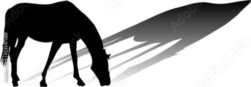 horses vector silhouettes