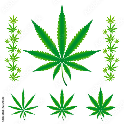 Cannabis / Marijuana / Hemp leafs.