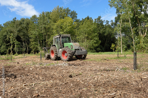 Konstfotografi plantation de peupliers