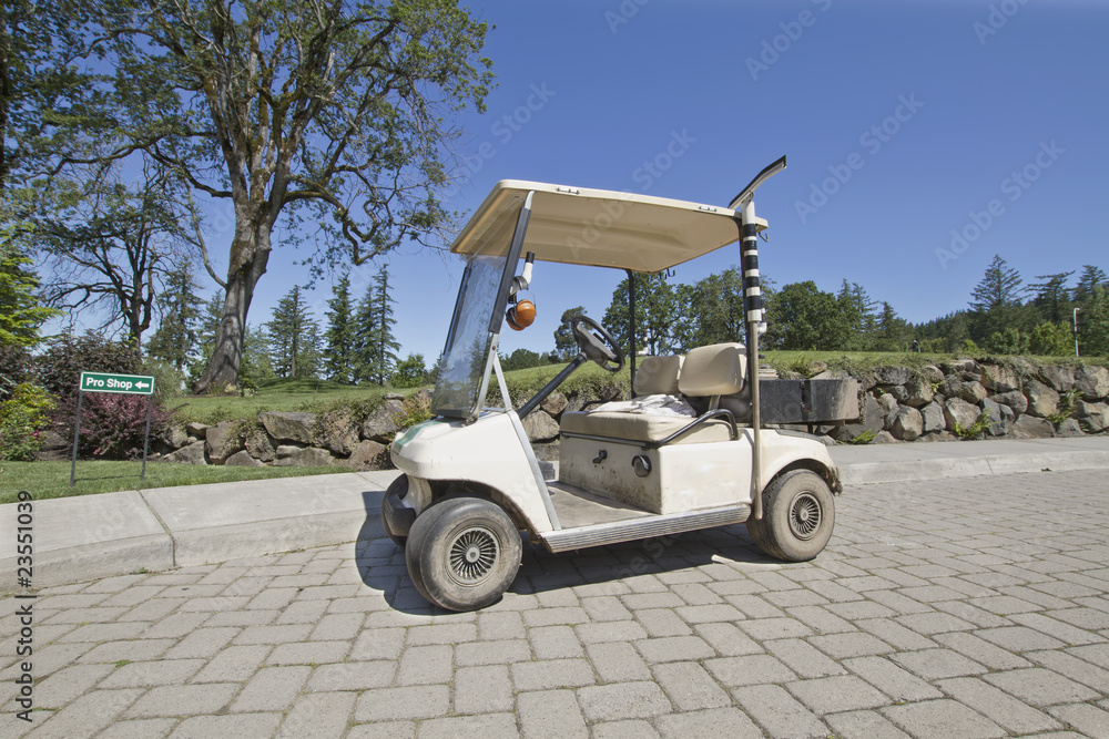 Golf Course Electric Maintenance Cart