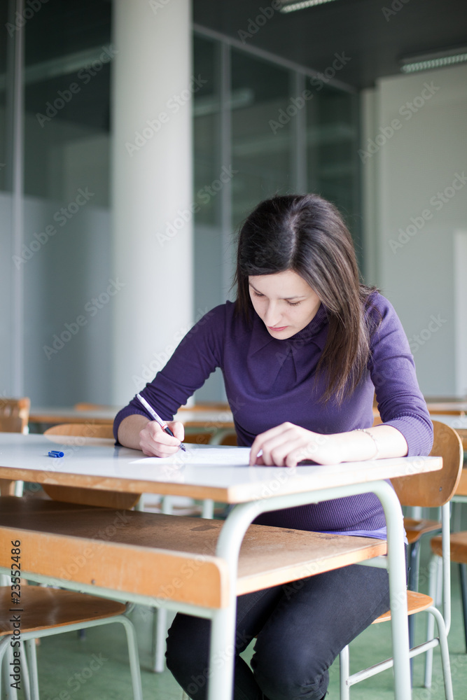 portrait of a pretty college student working in a classroom portrait of a pretty college student working in a classroom