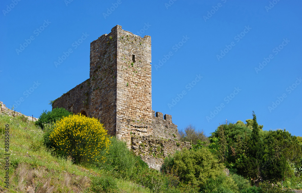Jimena castle