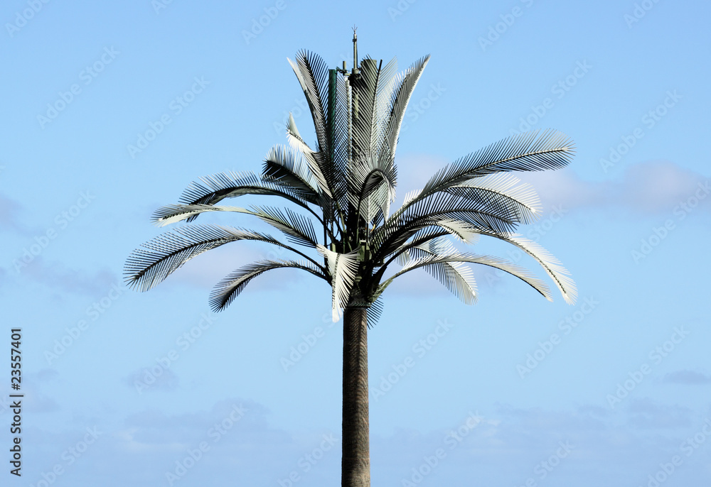 palmier camouflage antenne relais Photos | Adobe Stock